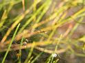 ZZ_ZZ445_D5987_Z_85_Home Wendy Eiby_Australie